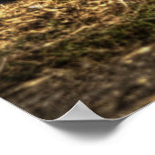 Poster Barre chaude (Coin)