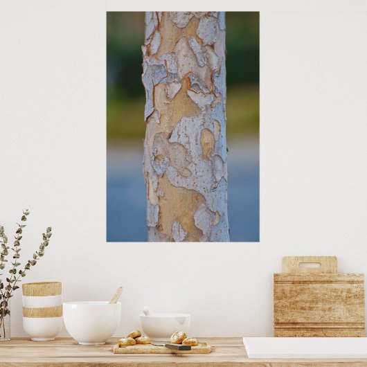 Poster Barre d'arbre (Cuisine)