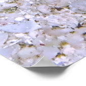 Poster Barre de poisson (Coin)