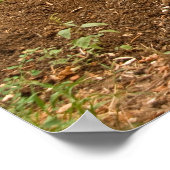 Poster Barreau De Roue À Côté Du Talon Du Sol (Coin)