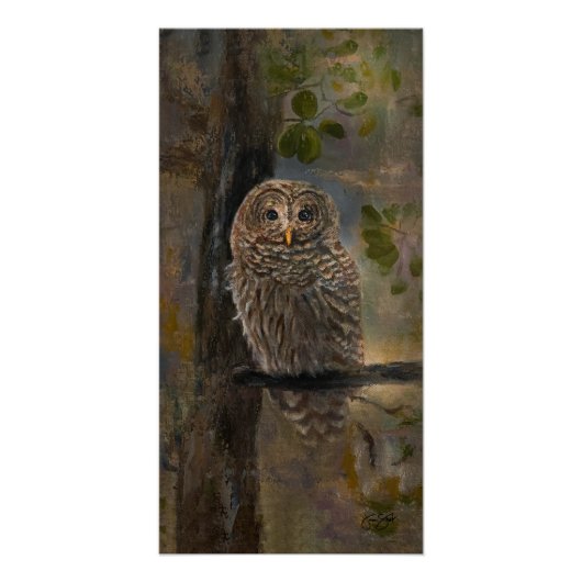 Poster Barred Owl Painting 14 x 28 (Devant)
