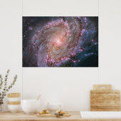 Poster Barred Spiral Galaxy Messier 83. (Cuisine)