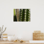 Poster Barrel Cactus II Désert Nature Photo (Cuisine)