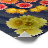 POSTER BARREL CACTUS MANDALA 3 (Coin)