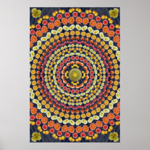 POSTER BARREL CACTUS MANDALA 3