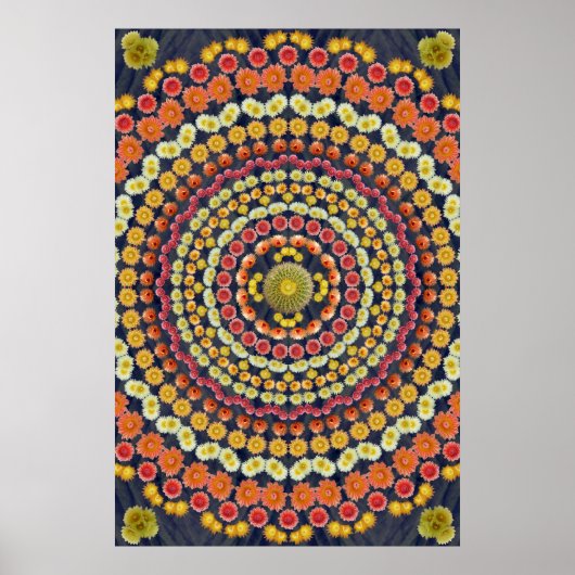 POSTER BARREL CACTUS MANDALA 3 (Devant)