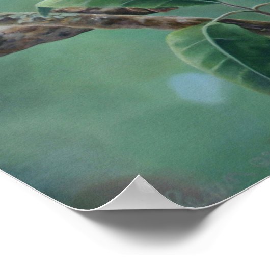 Poster "Barres de singes" (Coin)