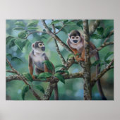 Poster "Barres de singes" (Devant)