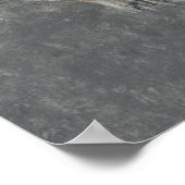 Poster Barringtonia Acutangula 2 (Coin)