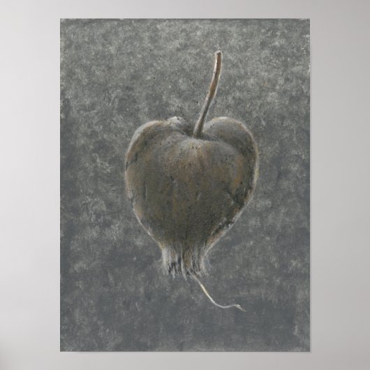 Poster Barringtonia Acutangula 2 (Devant)