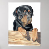 Poster Bart (Devant)