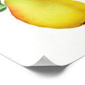 Poster Bartlett Juicy Pear Fruit Cuisine (Coin)