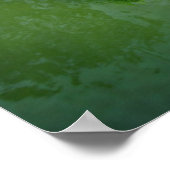Poster Barton Creek Cliffs - Austin Texas (Coin)