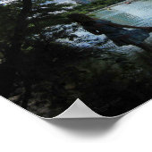 Poster Barton Creek / Ladybird Lake - Austin, Texas (Coin)