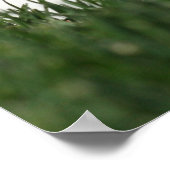 Poster Base-ball (Coin)