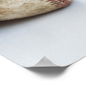 Poster Base-ball et bat (Coin)