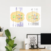 Poster base de l'image du cerveau anglais & japonais (Bureau à domicile)