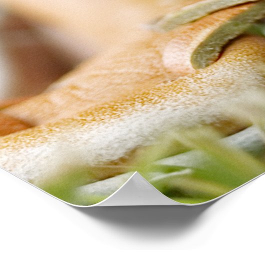 Poster Baseball (Coin)