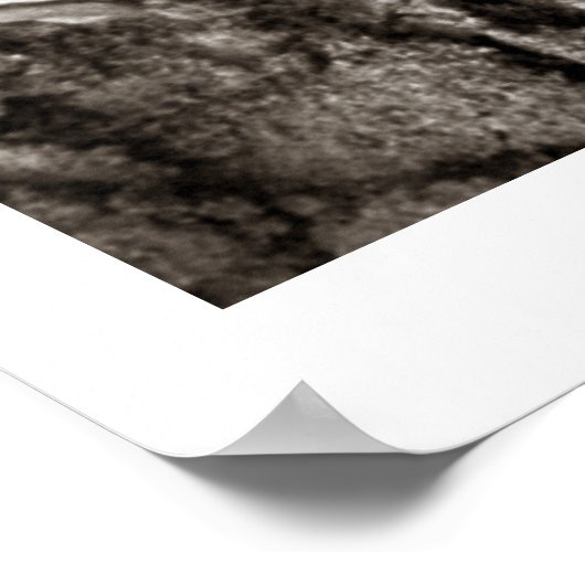 Poster Baseball1 Imprimer (Coin)