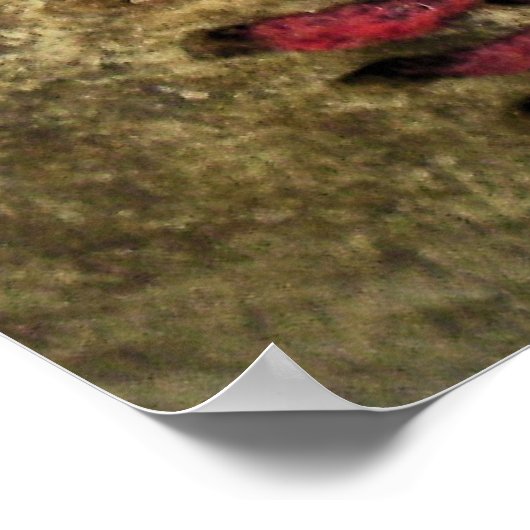 Poster Baseball vintage (Coin)