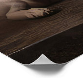 Poster Basenji au coin du feu Noël (Coin)