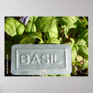 Poster Basil