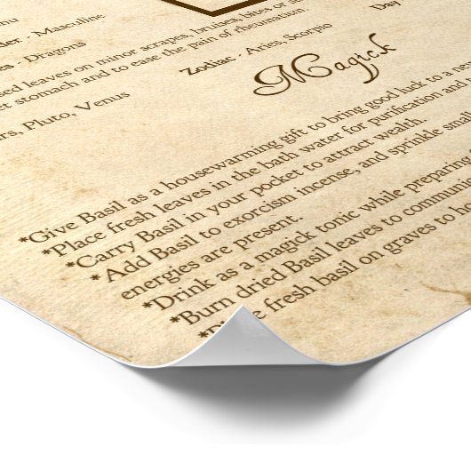 POSTER BASIL MAGICK HERB (Coin)