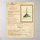 POSTER BASIL MAGICK HERB (Devant)