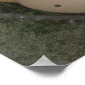 Poster Basket d'Eggs (Coin)