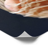 Poster Basket en panier. (Coin)