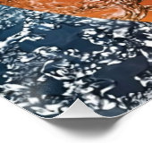 Poster Basket flamboyant (Coin)
