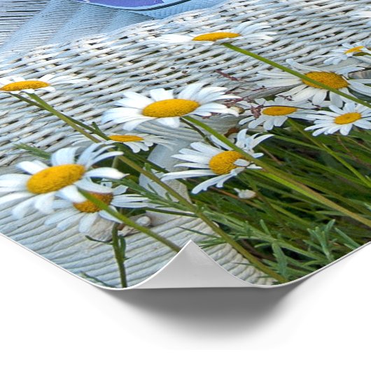 Poster baskets et marguerites (Coin)