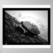 Poster Basking (Devant)