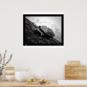 Poster Basking (Cuisine)