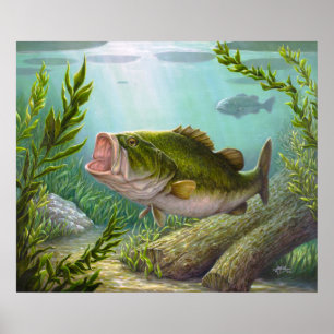 Poster Bass Fish
