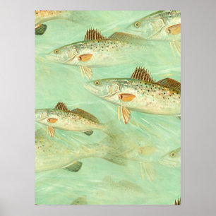Poster Bass Fish Pattern  