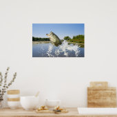 Poster Bass Jump 2013 (Cuisine)