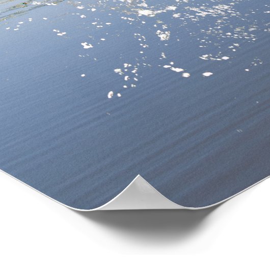 Poster Bass Jump 2013 (Coin)