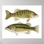 Poster Basse (Devant)