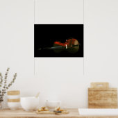 Poster Basse 3 wapcn (Cuisine)