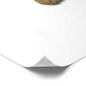 Poster Basse à grande bouche (Coin)