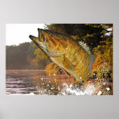 Poster Basse Smallmouth (Devant)