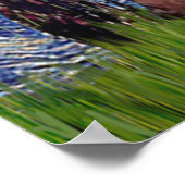 Poster Basset 1 - Nuit étoilée (Coin)