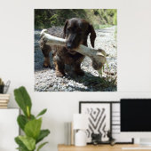 Poster Basset allemand (Bureau à domicile)