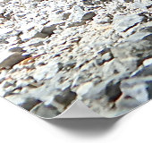Poster Basset allemand (Coin)