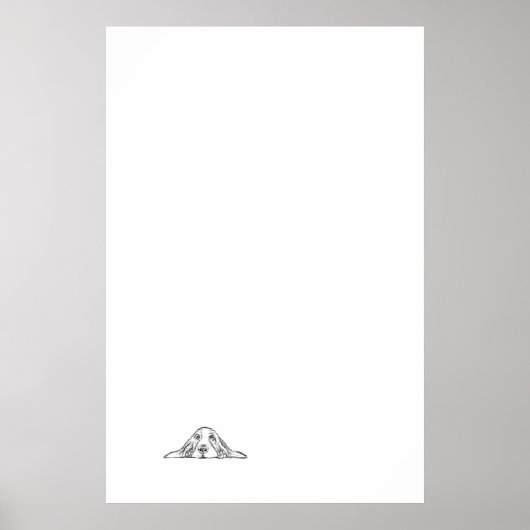 Poster basset blanc (Devant)