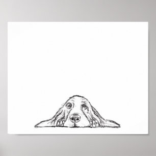 Poster basset blanc
