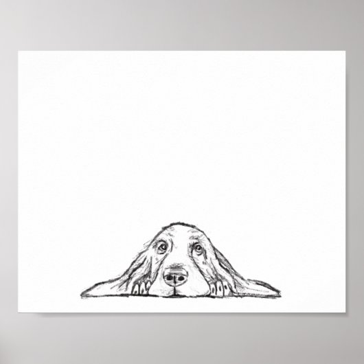 Poster basset blanc (Devant)