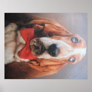 Poster Basset Hond met rood Stropdas