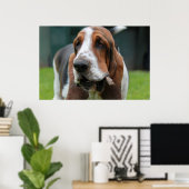 Poster Basset Hound (Bureau à domicile)